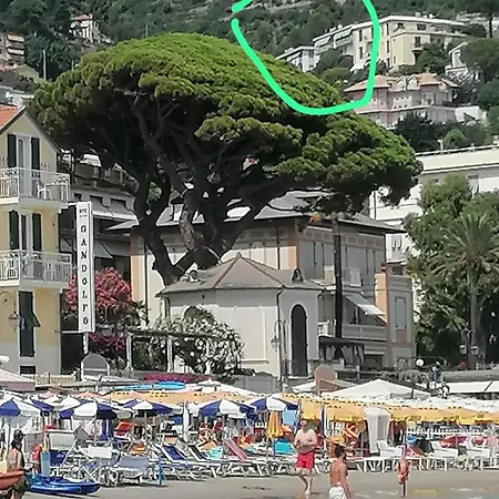 Fiori D'alassio - Ampie Con Terrazza, Parcheggio E Scalinata Per Il Mare Bed & Breakfast Alassio