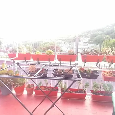 Bed & Breakfast Fiori D'alassio - Ampie Con Terrazza, Parcheggio E Scalinata Per Il Mare